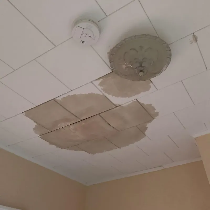 Ceiling Water Damage Repair in Alexander County, NC
