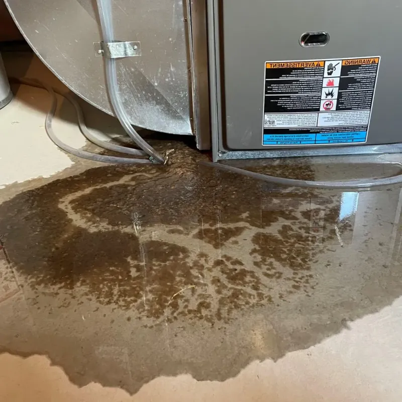 Pipe Burst and Leak Restoration in Alexander County, NC