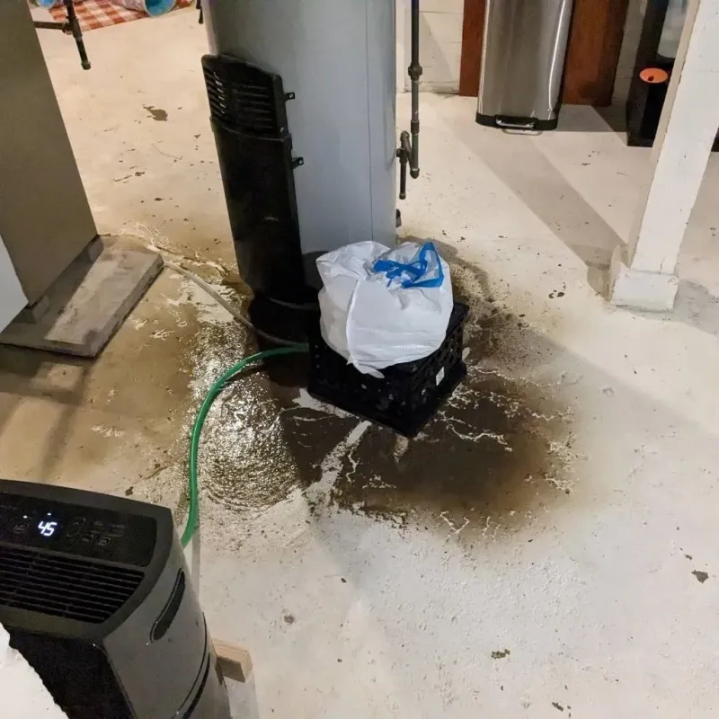 Sewage Backup Cleanup Service in Alexander County, NC